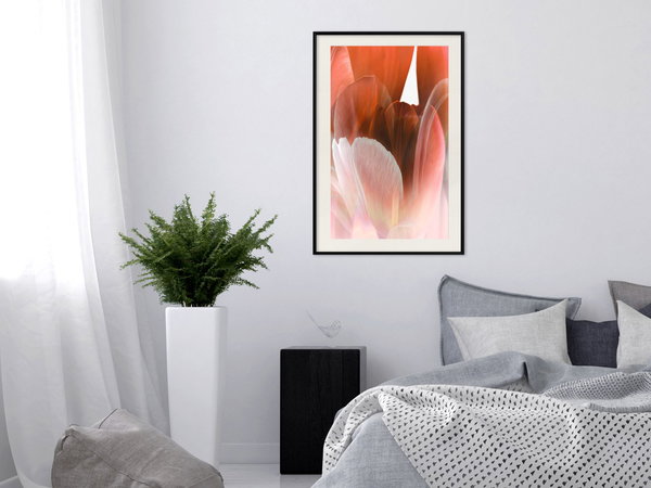 Poster 'Tulip Petals'