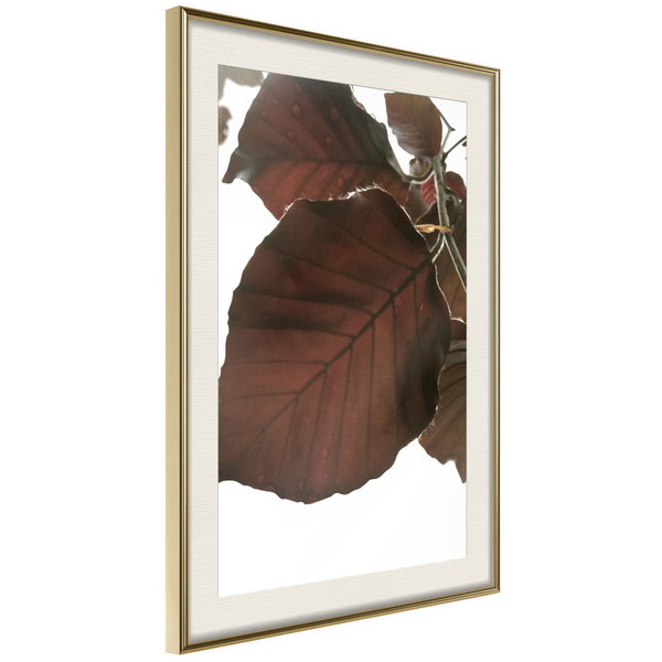 Poster 'Burgundy Tilia Leaf'