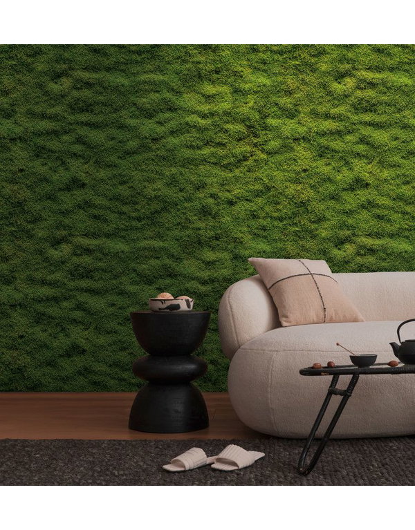 Tapete 'Mossy Texture' 159x280cm