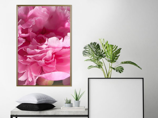 Poster 'Beautiful Peonies'