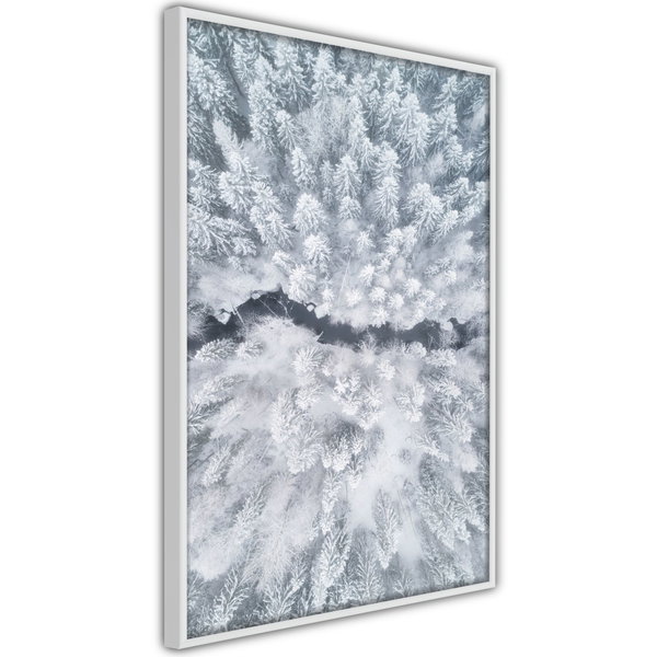 Poster 'Winter Forest From a Bird's Eye View'