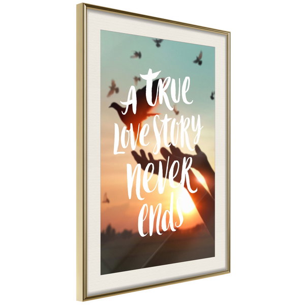 Poster 'Love Story'