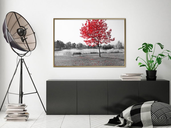 Poster 'Autumn Colours I'