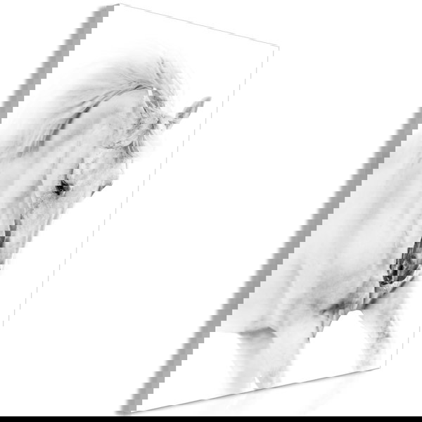 Kunstdruck auf Leinwand 'White Horse Vertical'