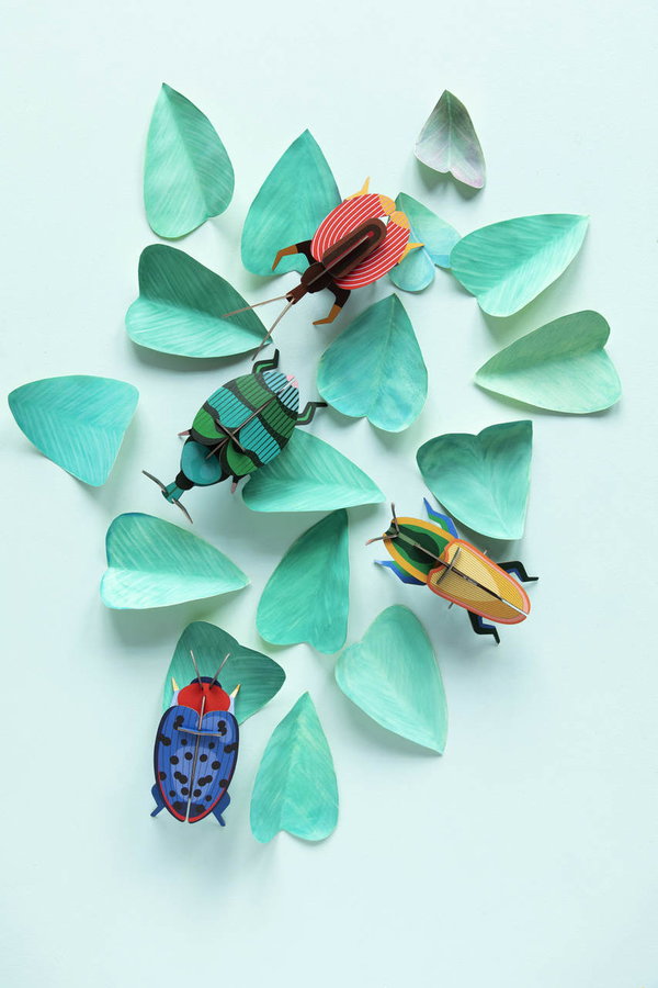 Wanddeko Papier 'Rüsselkäfer'