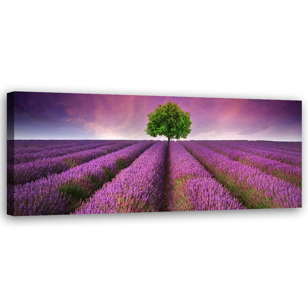 Kunstdruck auf Leinwand 'Lavender Sunset Symphony'