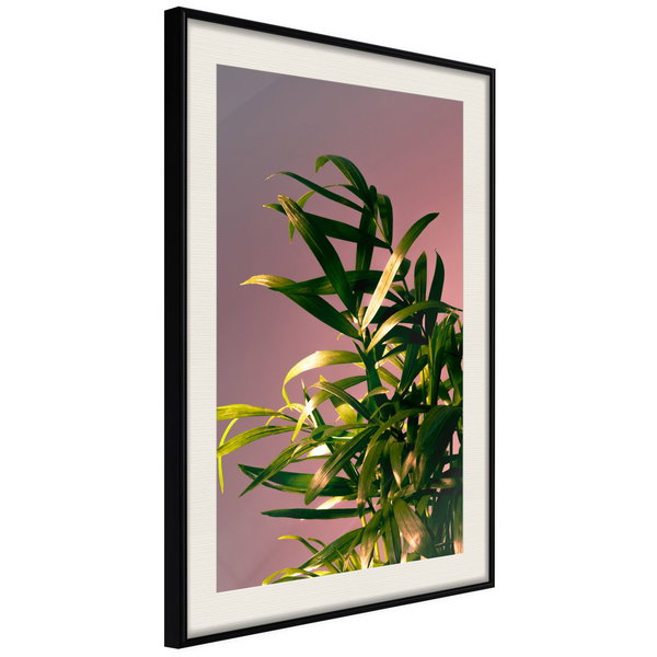 Poster 'Against the Sunset'