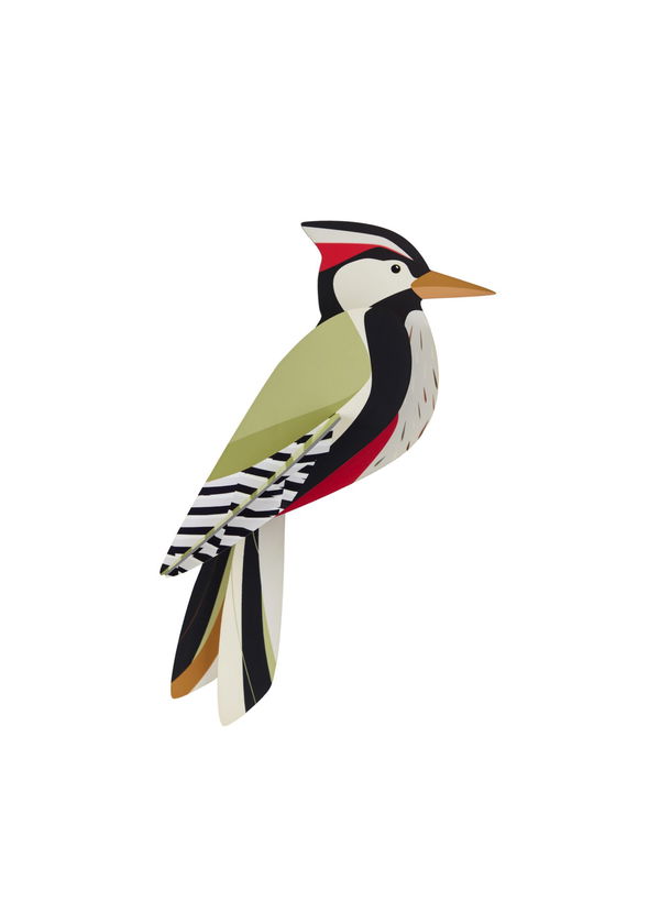 3D-kartongmodell dekoration &#039;Woodpecker Wall Art&#039;