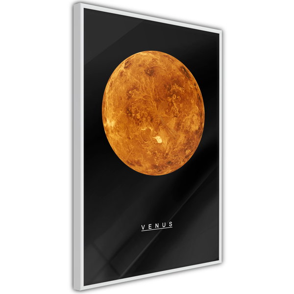 Poster 'Venus'