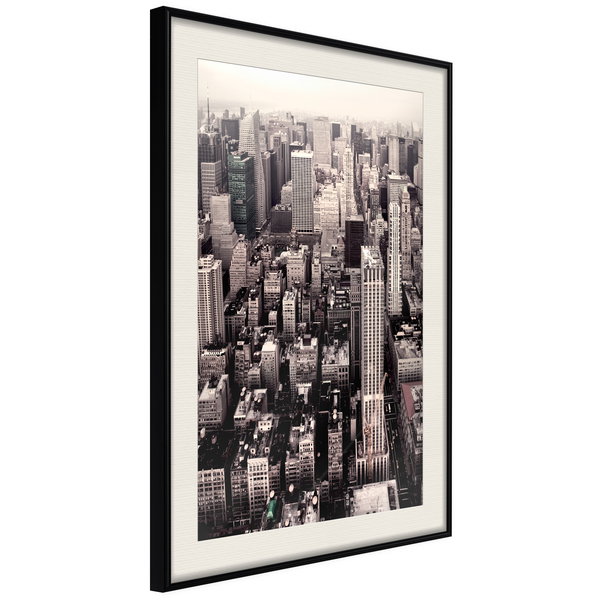 Poster 'New York from a Bird's Eye View'