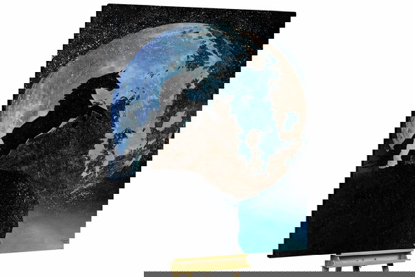 Unikat za sva četiri zida