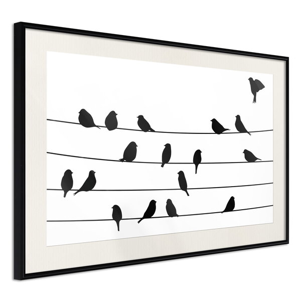 Poster 'Birds Council Meeting'