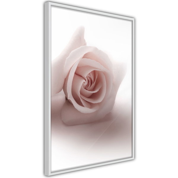 Poster 'Rosae Shadow'