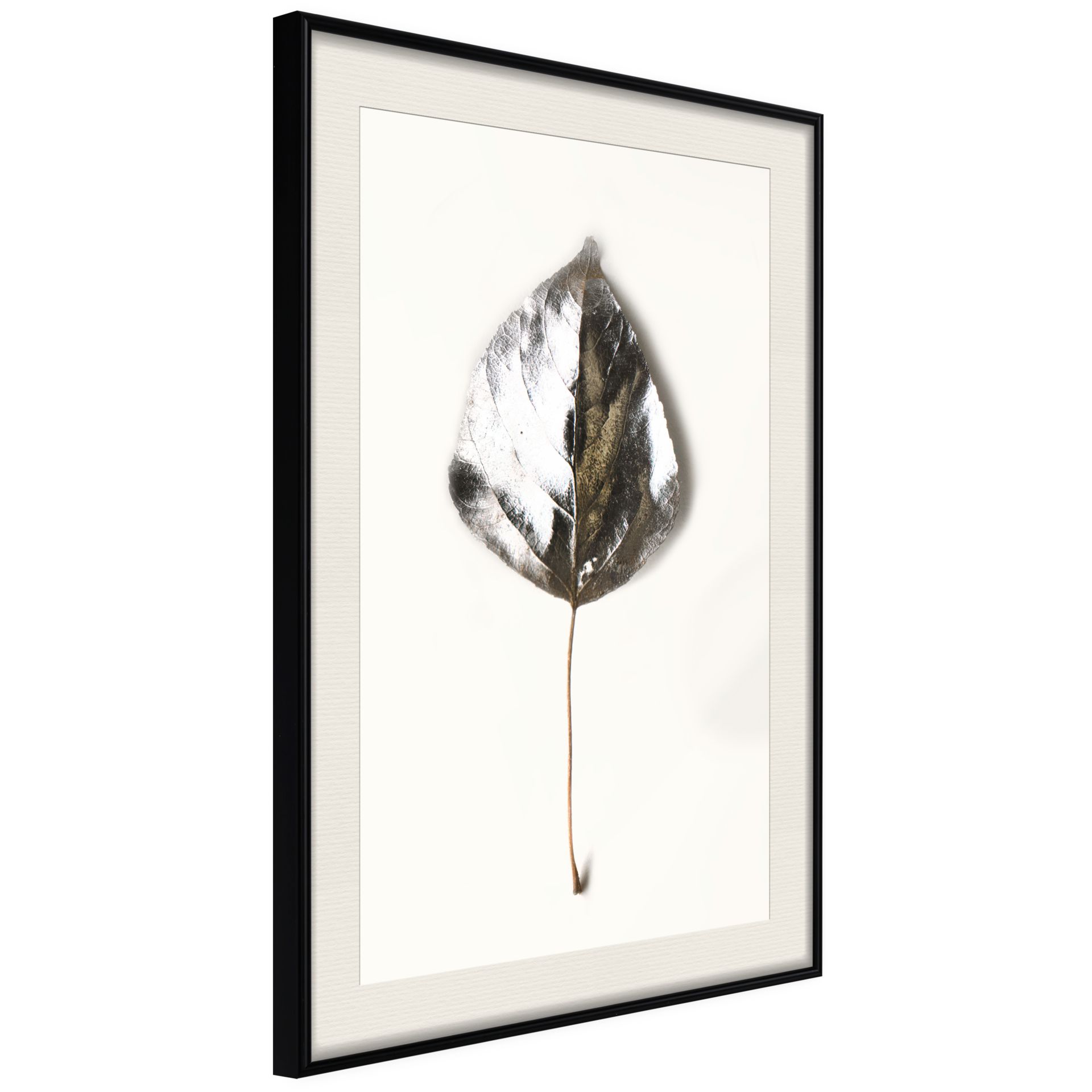 Poster 'Silvery Leaf'