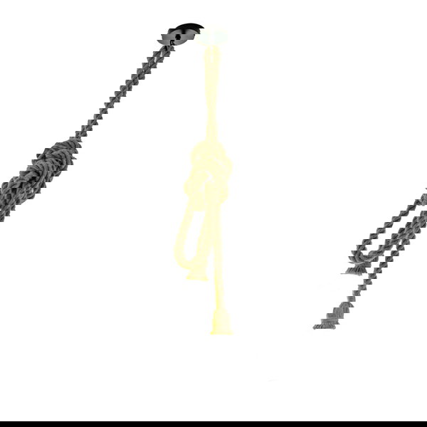 Hanglamp 'Winery 2R'