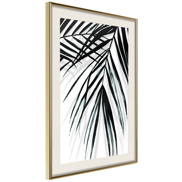 Poster 'Leaf and Its Shadow'