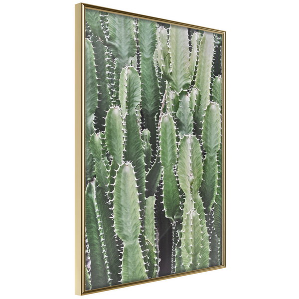 Poster 'Cactus Plantation'