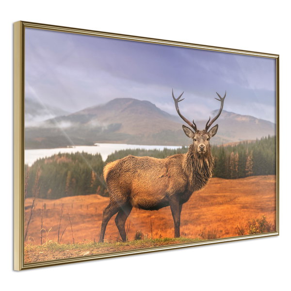 Poster 'Majestic Deer'