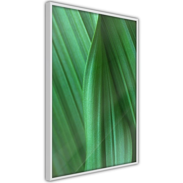 Poster 'Leaf Structure'