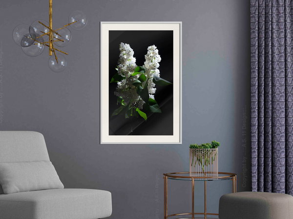 Poster 'White Lilac'