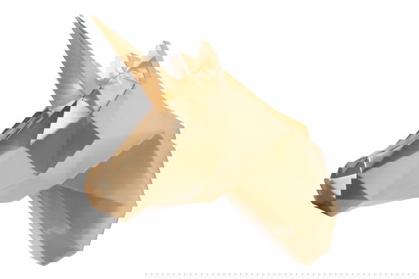 Dragocjenost Vašeg doma