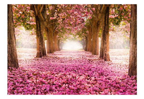 Tapéta 'Pink grove'