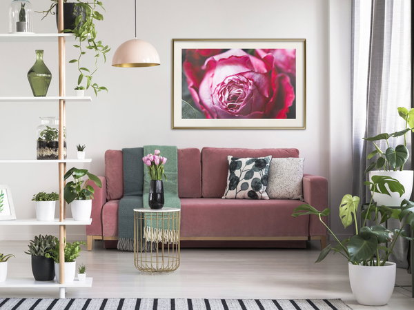 Aφίσα τοίχου 'Blooming Rosae'