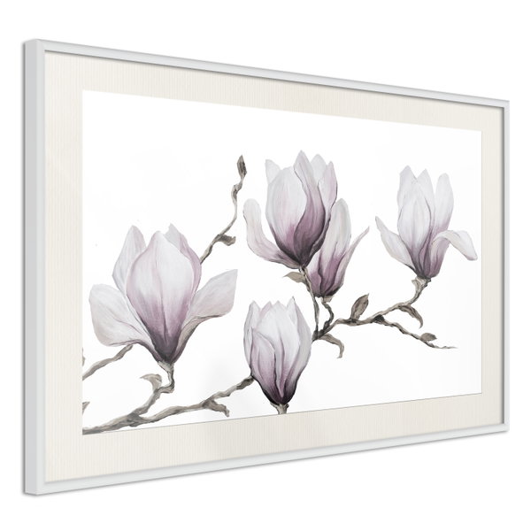Poster 'Painted Magnolias'