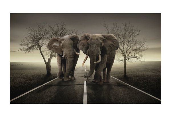 Tapete 'City of elephants'