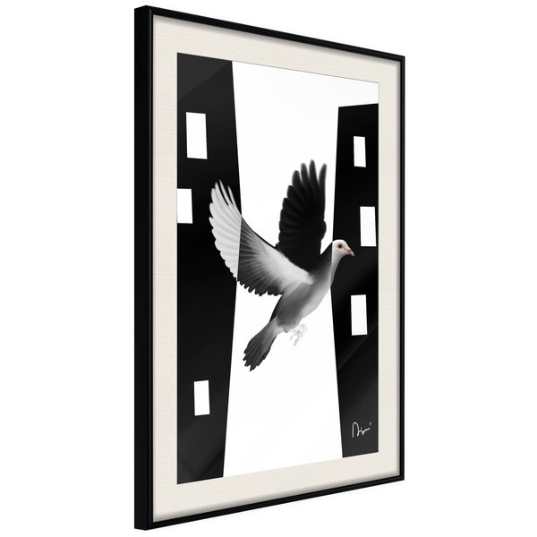 Poster 'Caught in Flight'