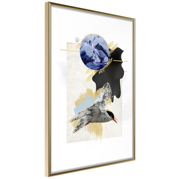 Poster 'Antarctic Tern'