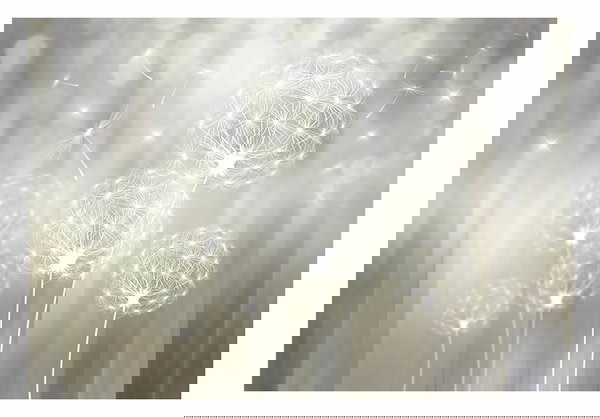 Wallpaper 'Dandelion Wonder'