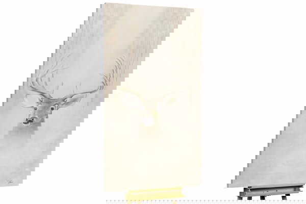 Een uniek exemplaar voor je interieur