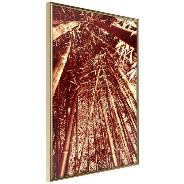 Poster 'Asian Forest'