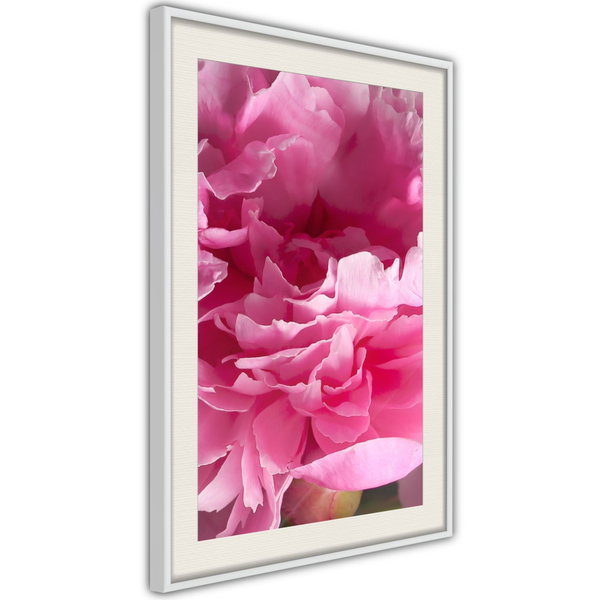 Poster 'Beautiful Peonies'