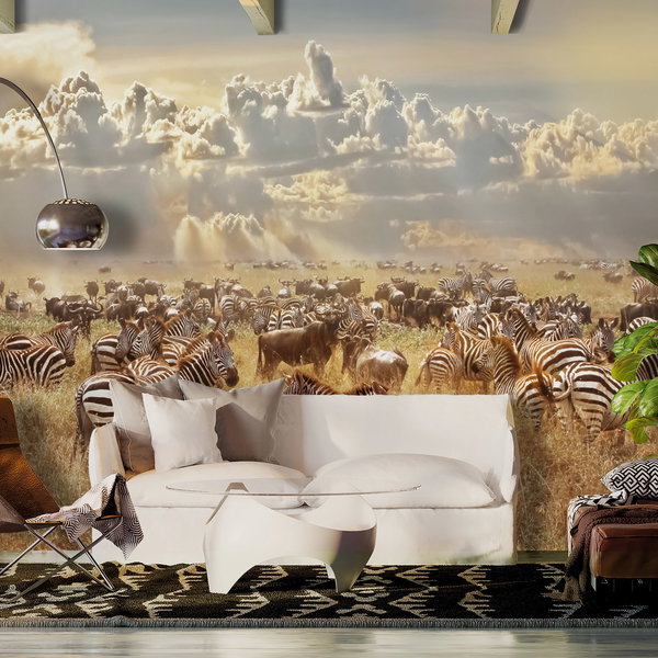 Self-adhesive wallpaper 'Zebra Land'