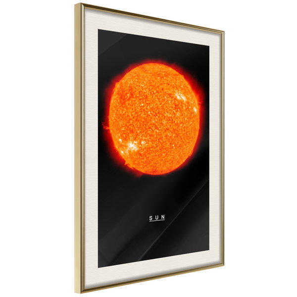 Poster 'Sun'