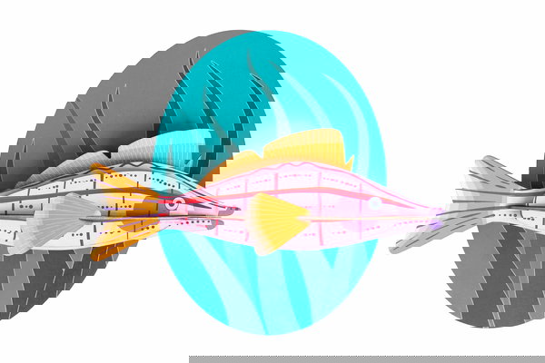 Sculptură de perete din carton 'Longnose Hawkfish Decor'