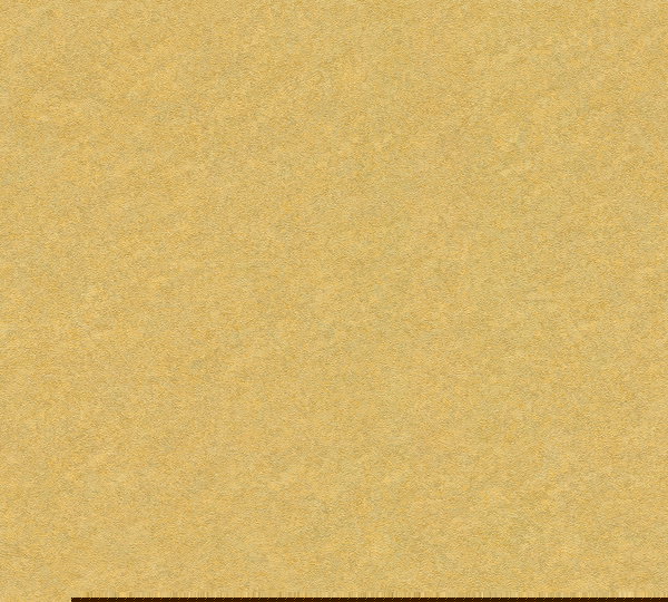 Behang 'Versace Birds 4' 70x1005cm