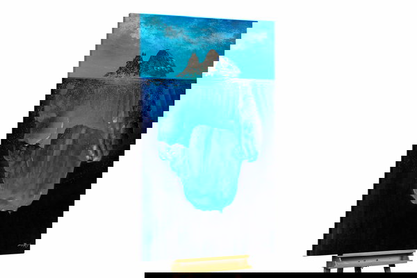 Un exemplaire unique pour votre intérieur