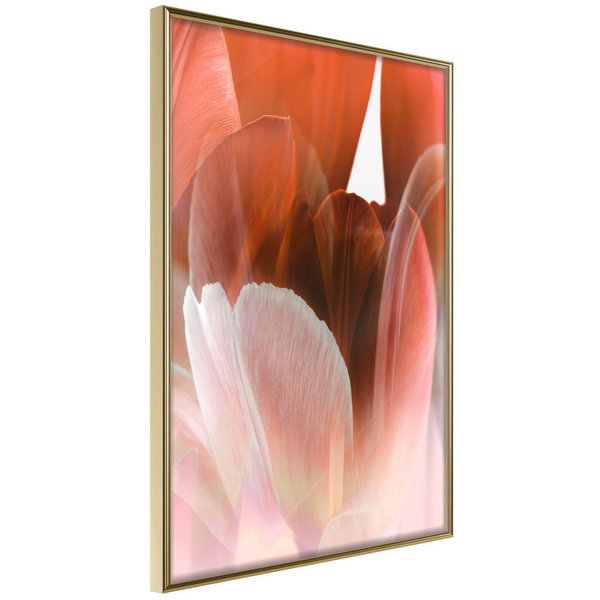 Poster 'Tulip Petals'