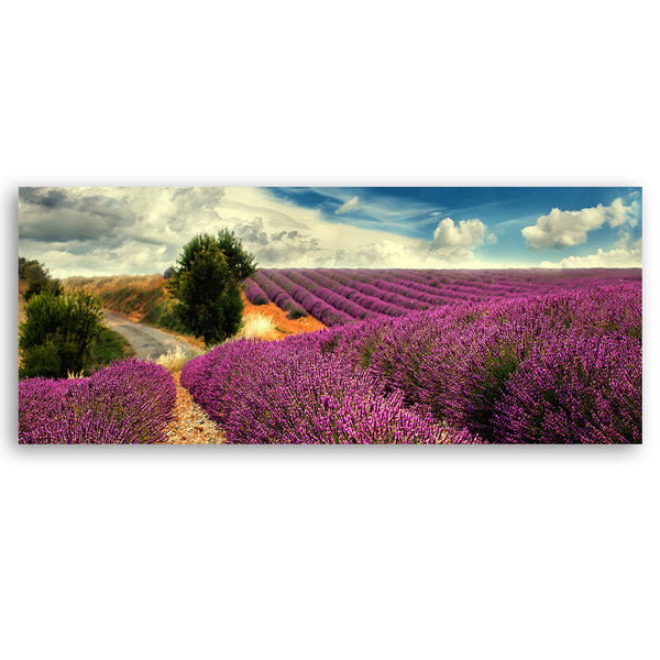Impression sur toile 'Endless Lavender Dreams'