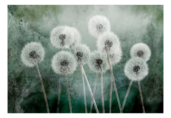 Selbstklebende Tapete 'Down Breeze'