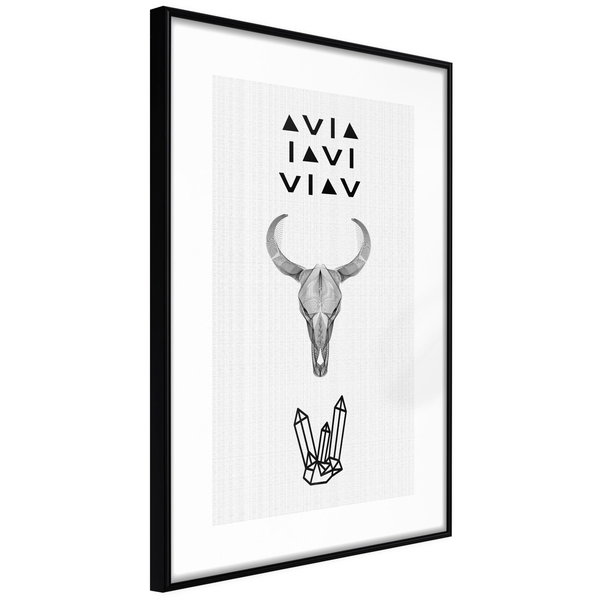 Poster 'Animal Skull'