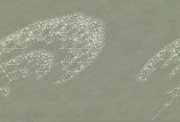 Carta da parati 'Trees 3' 400x270cm