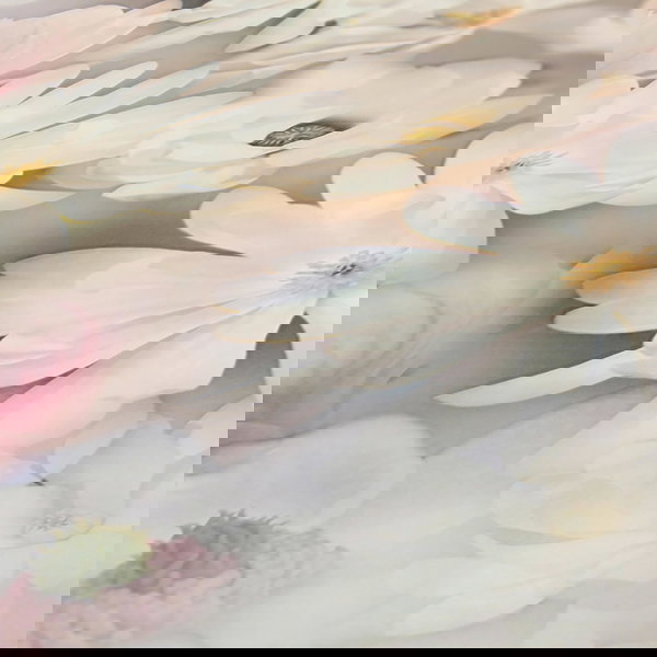 Tapeta 'Expression of Love' 53x1005cm