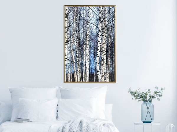 Poster 'Winter Birch Trees'