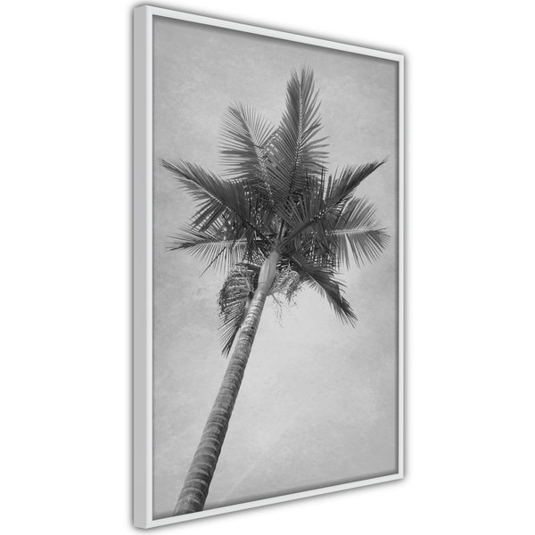 Poster 'Memories from the Paradise'