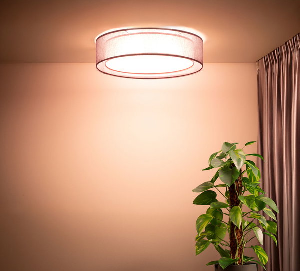 Suspension luminaire 'Puro Tender Glow 1'