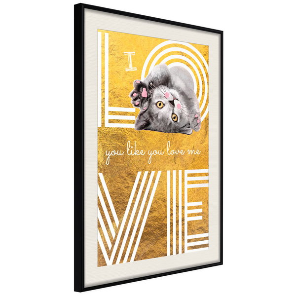 Poster 'I Love You like You Love Me'